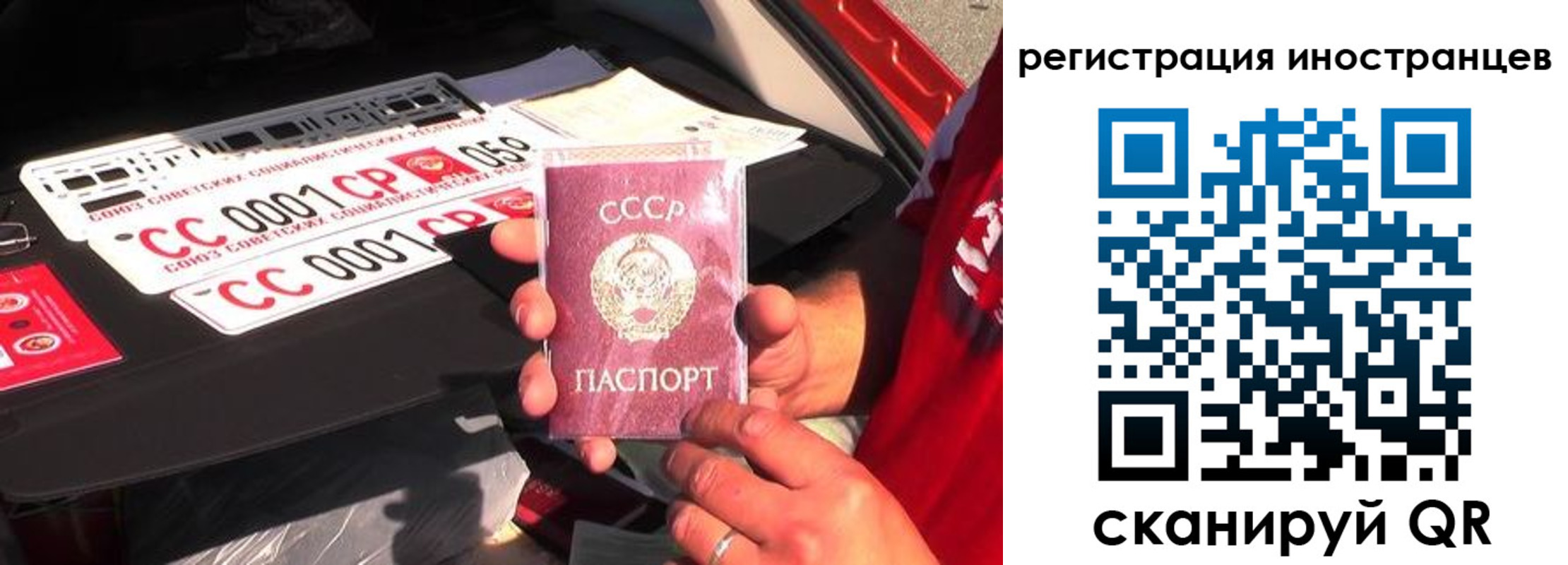 прописка гарантия в Талдоме